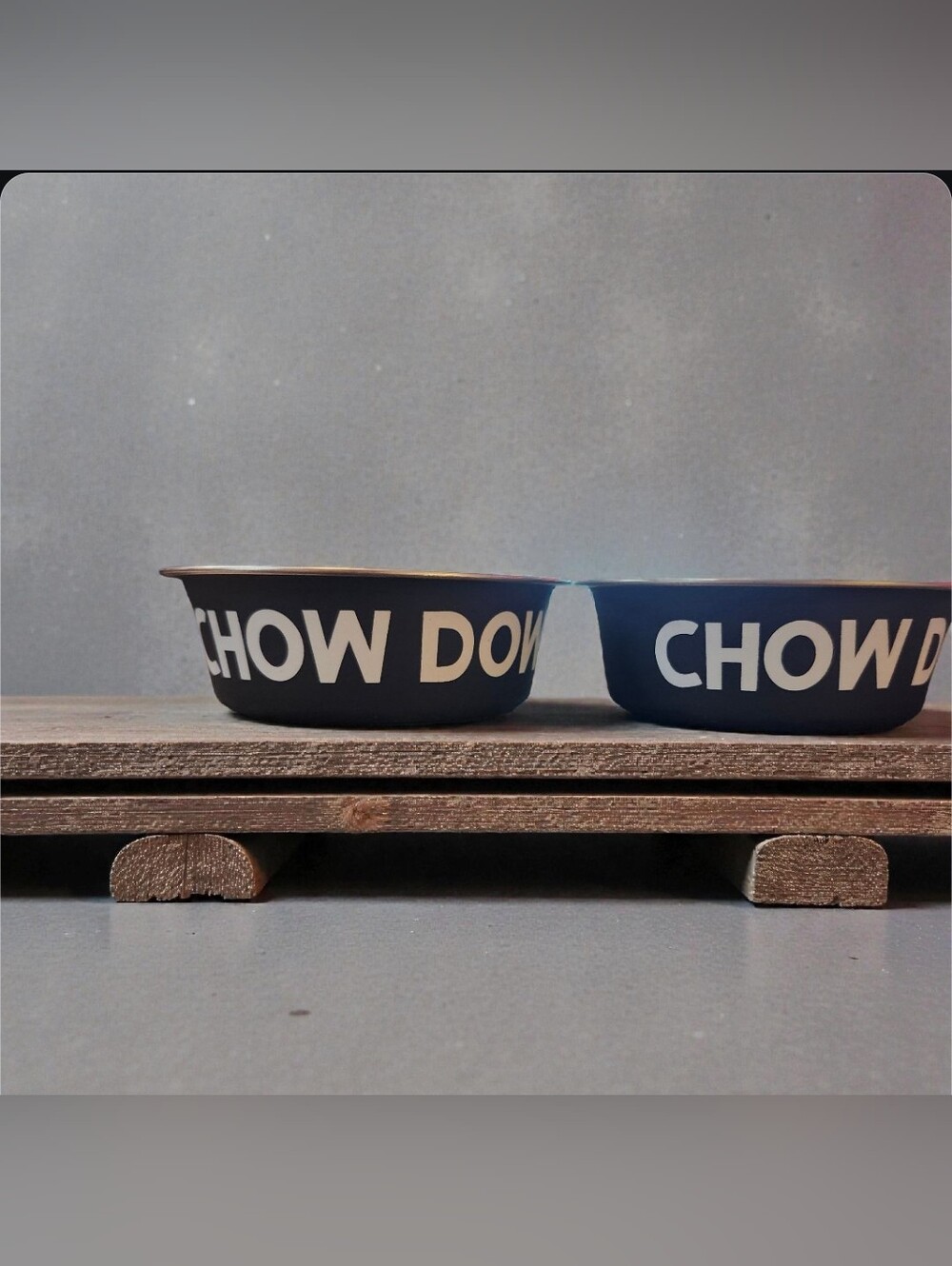 Chow Down Pet Bowls - NEW